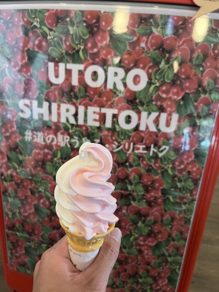 コケモモソフトクリーム